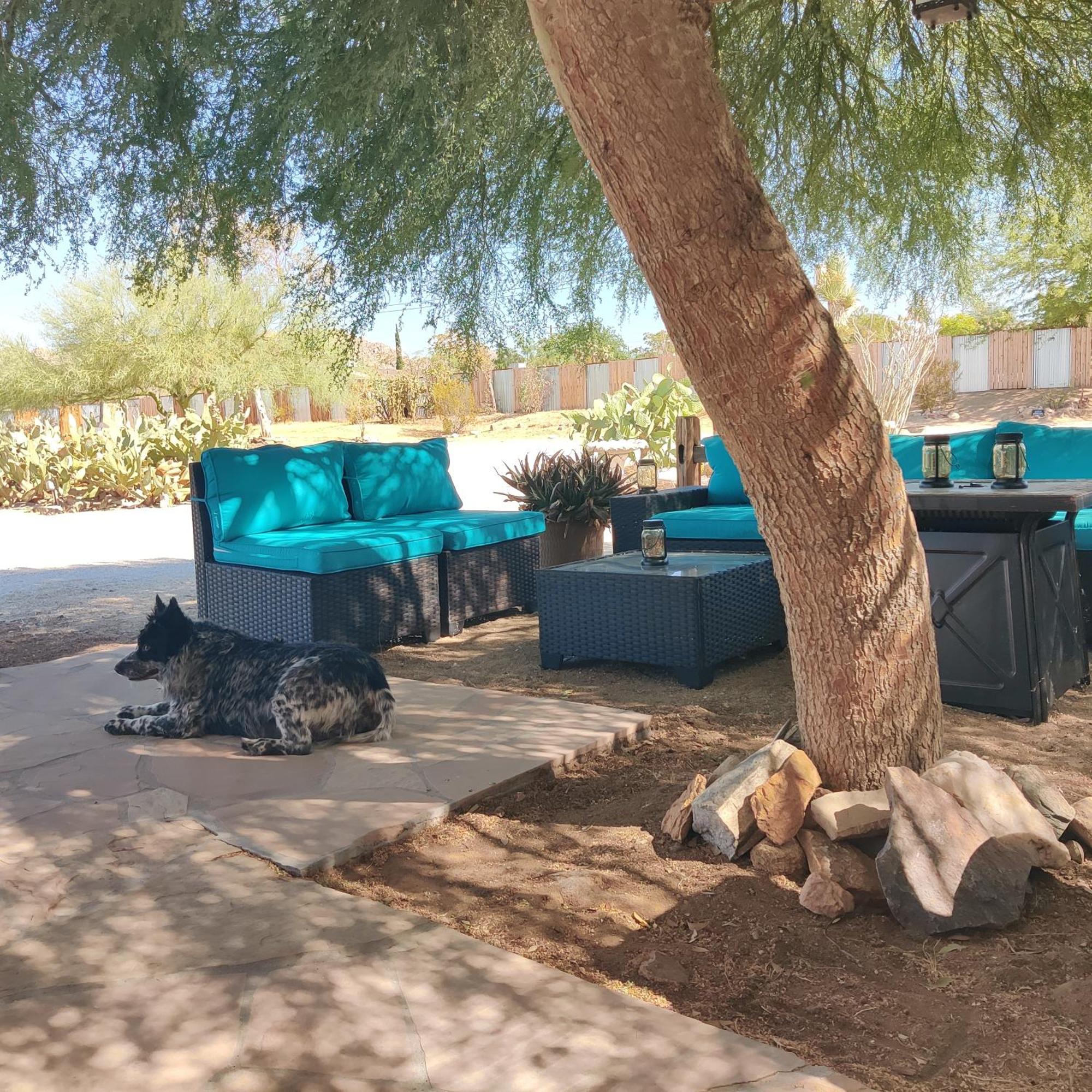 Joshua Tree Ranch House Motel - Downtown - Room #6 Exteriér fotografie
